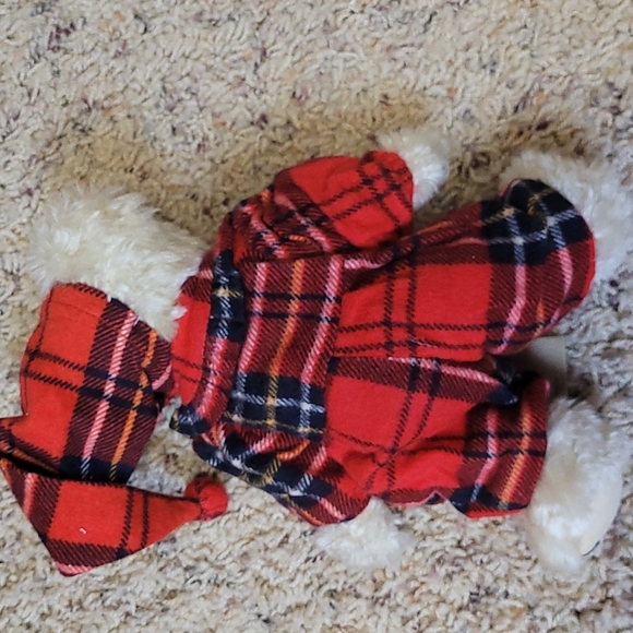 Boyds Beara- Bianca T Witebred - Picture 2 of 3